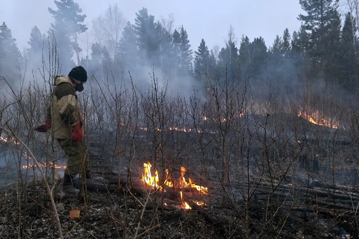 Огонь прошел более 720 тыс. га леса в Сибири