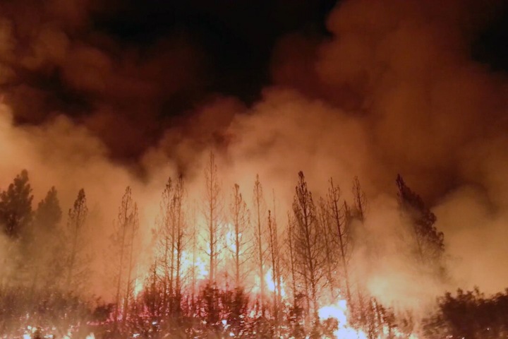 Remote Russian region on fire and masked sowers in Altai. Siberia in a Week