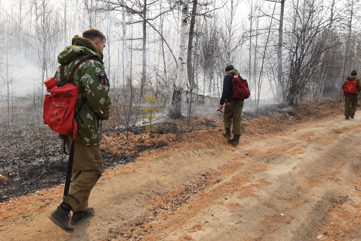 Пришедшие из Монголии лесные пожары тушат в Забайкалье
