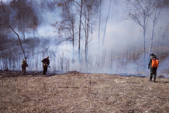 Площадь пожаров в Иркутской области выросла в 22 раза