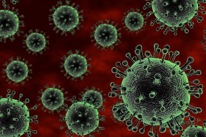 Тесты на антитела к коронавирусу будут делать в Новосибирске