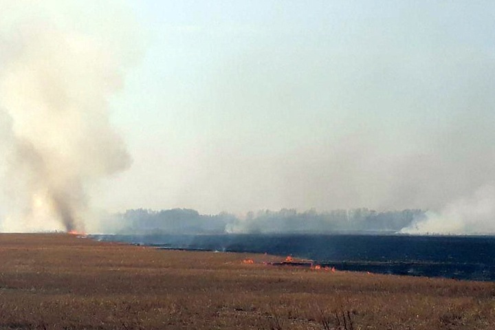 140 зданий сгорело после перехода пожаров на поселения в Новосибирской области и Кузбассе