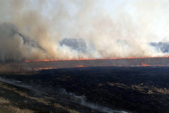 Рослесхоз: самоизоляция ухудшила ситуацию с лесными пожарами