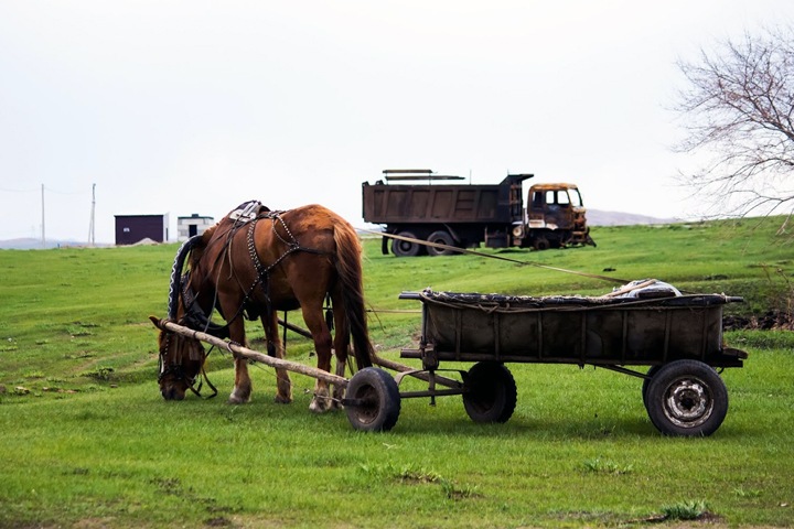 Более 90 новосибирских сельхозкомпаний остались без господдержки. Депутаты пожалуются Патрушеву