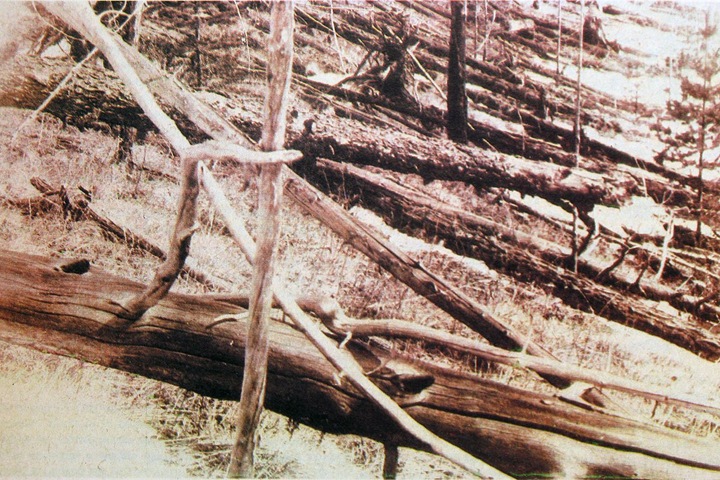 The Tunguska event was not a meteorite. Scientists proposed a new explanation for the century-old mystery