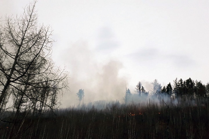 Огонь прошел более 3 млн га в Сибири