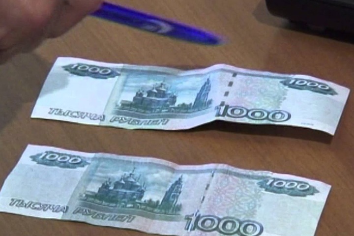 Власти назначили 1800 рублей в месяц уволенной жительнице Бердска с ребенком