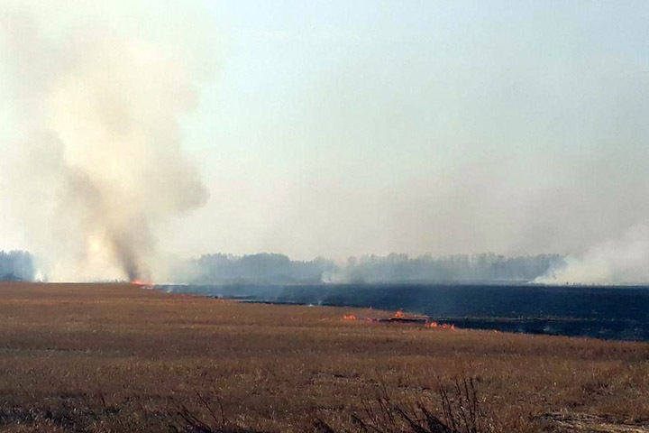 Сжигавший траву забайкалец случайно спалил 13 гектаров леса