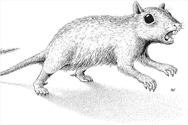 Сибирь оказалась родиной похожих на крыс современников динозавров