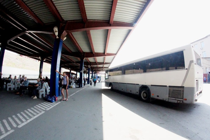 Пригородные автобусы вернут на маршруты в Новосибирской области