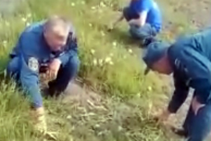 Сотрудники МЧС косили траву под Новосибирском ножницами