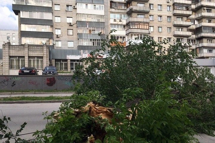 Четверо пострадали во время урагана в Новосибирске