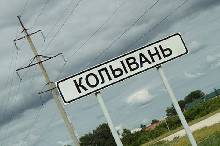 Новосибирские депутаты проинспектировали благоустройство в Колыванском районе