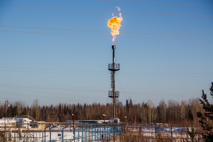 Сибирские ученые рассказали, как России выйти из нефтяного кризиса