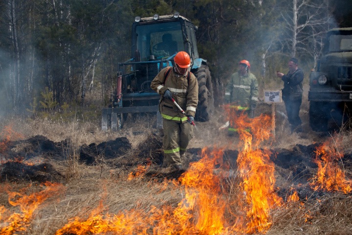 Новосибирская область лидирует среди регионов России по площади весенних ландшафтных пожаров