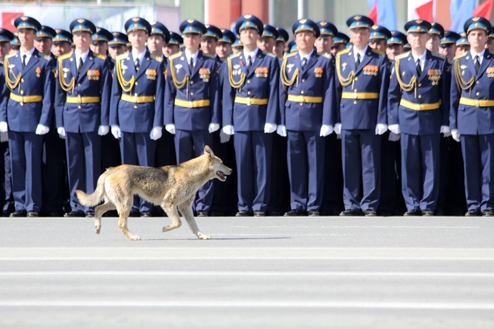 Военные проведут парад Победы в Новосибирске без масок