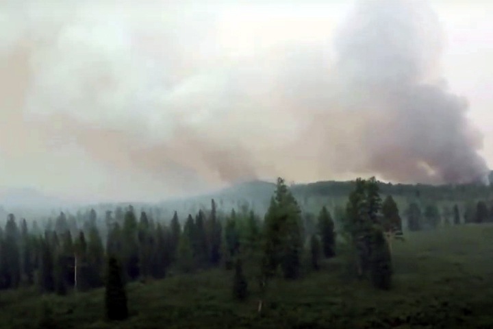 Около 200 тыс. га охвачено огнем в Сибири
