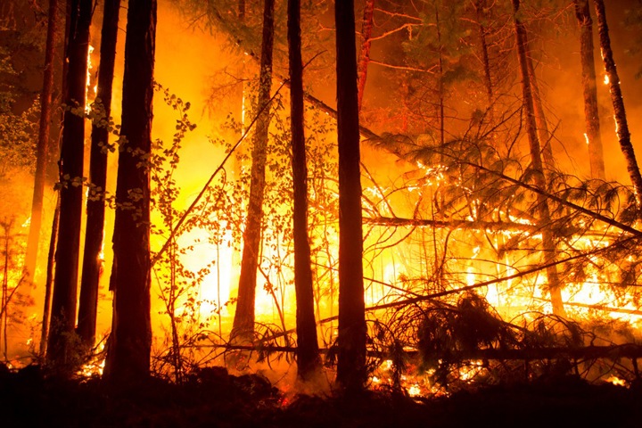 Более 45,5 тыс. гектаров леса горит в Иркутской области