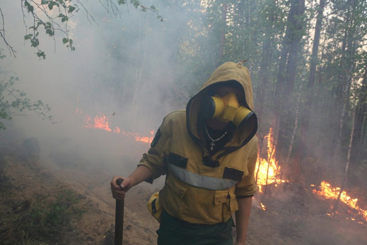 Рекордные лесные пожары прогнозируют регионам Сибири