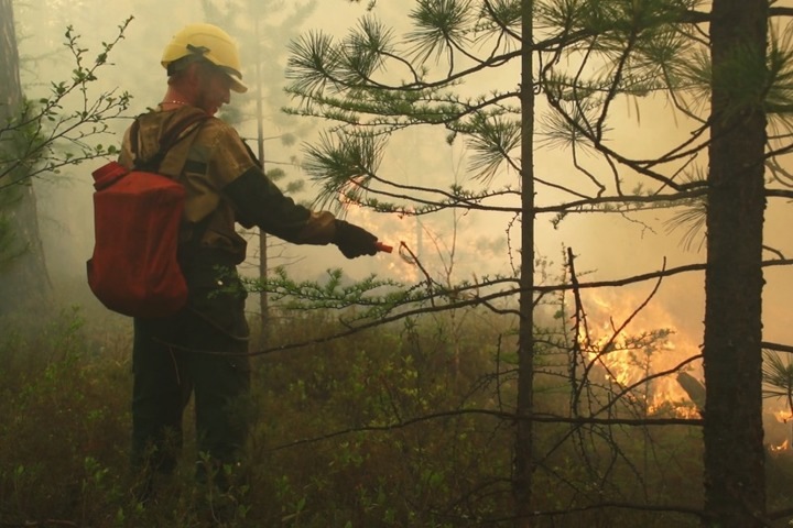 Более 30 тыс. га  горит в Иркутской области