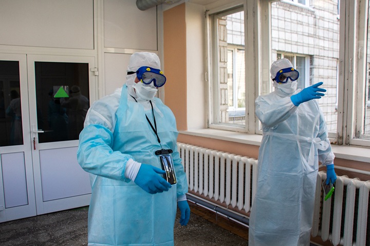 Сибирские ученые получили нейтрализующие коронавирус антитела
