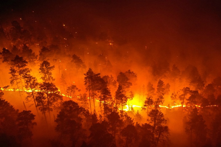 Greenpeace показал пожары в сибирских лесах (фото)