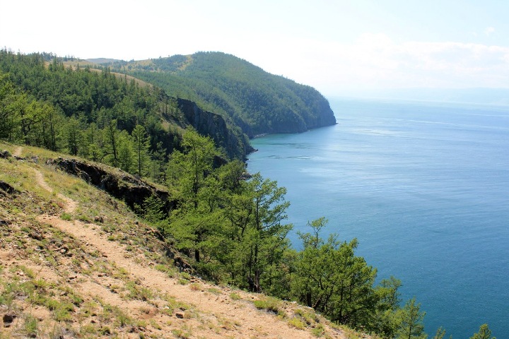 Совет Федерации одобрил вырубки леса на Байкале