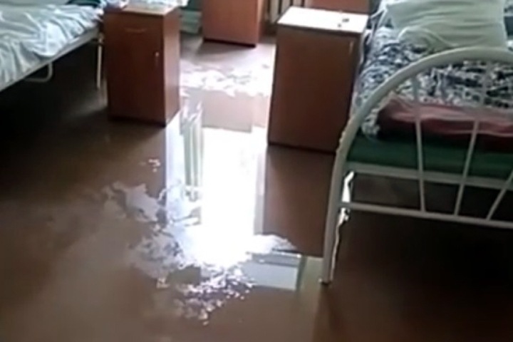 Пациенты переделанной под COVID бердской больницы пожаловались на тараканов и затопленные палаты