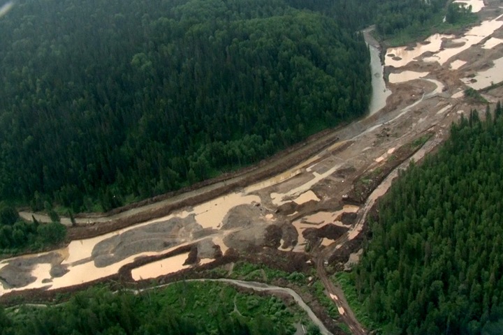 Загрязняющих реки Кузбасса золотодобытчиков проверяет ФСБ