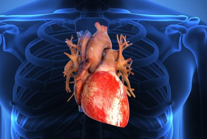 Что такое коронарография сердца?