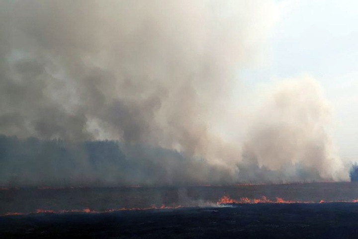 Жителей Сибири предупредили о пожарах и обмелении рек