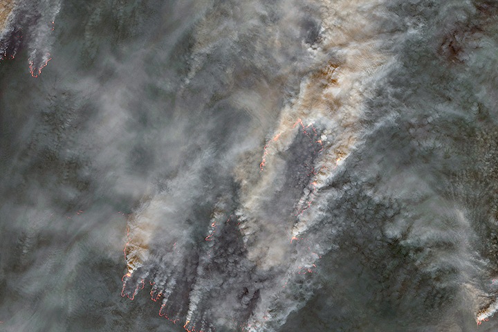 Площадь лесных пожаров в Сибири за неделю выросла в восемь раз