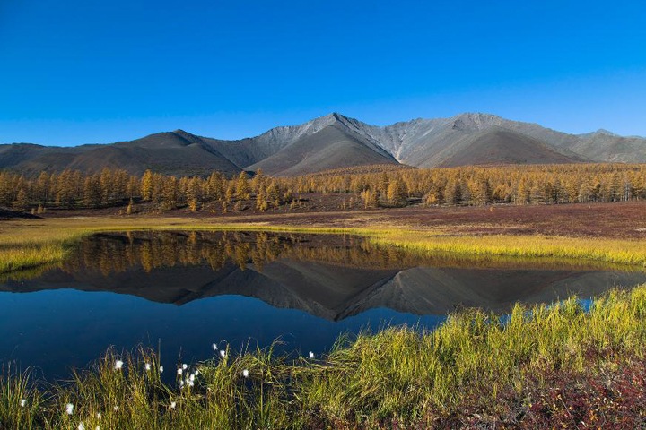 Сибирь стала чаще гореть, пузырьки воздуха очистят северные реки от нефти. Наука недели