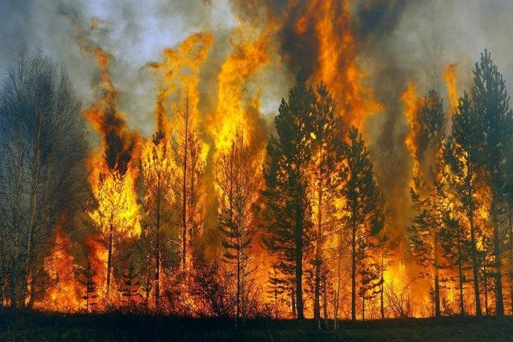 Площадь природных пожаров в Приангарье занизили в пять раз