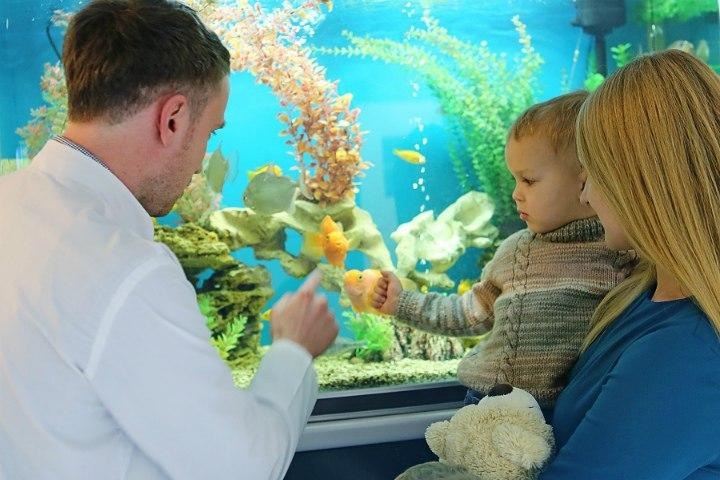 Стационар для детей с онкозаболеваниями открывают в Новосибирске