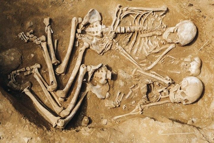Житель Бурятии нашел в огороде останки умершей 7 тыс. лет назад семьи