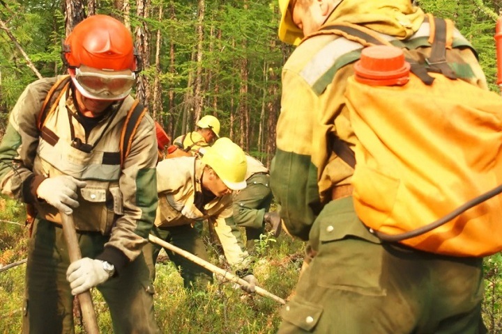 Площадь лесных пожаров в Приангарье выросла на 36% за сутки