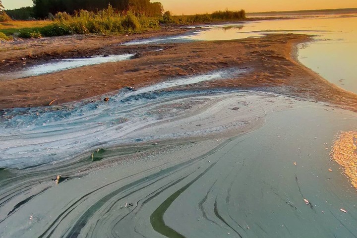Алтайское минприроды проверит данные об экологической катастрофе на озере Горькое-Перешеечное