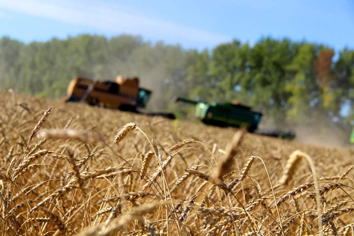 Зерно дорожает, тарифы растут. Числа недели