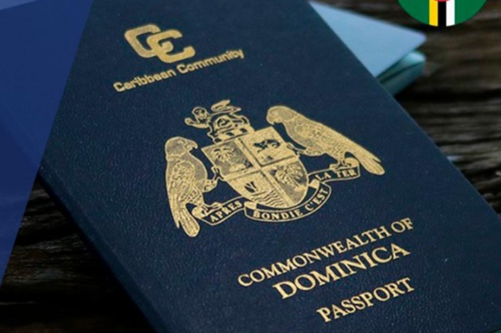 Как получить карибский паспорт инвестору?