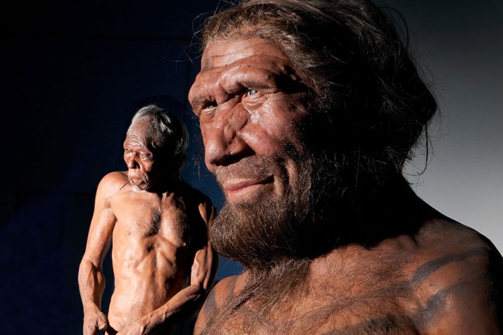 Сибирские ученые нашли дополнительные сходства современного человека с неандертальцем