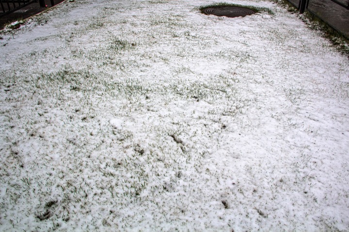 Снег с дождем пообещали новосибирцам