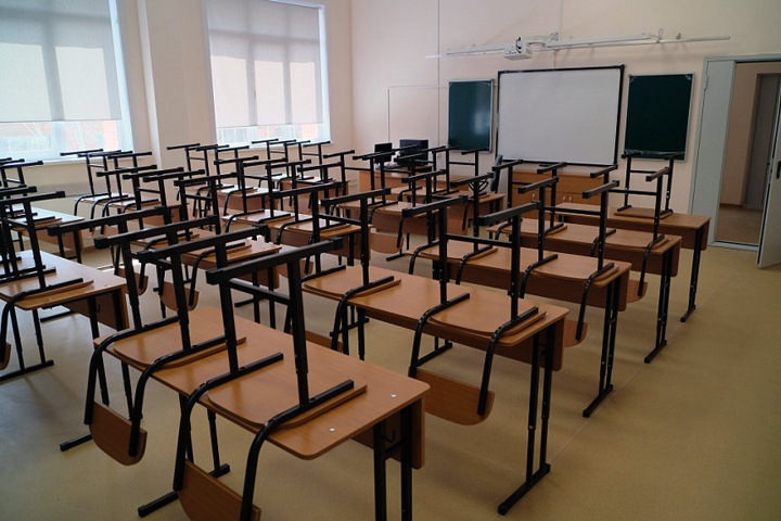 Более 10 школ закрыли на Алтае из-за эпидемий