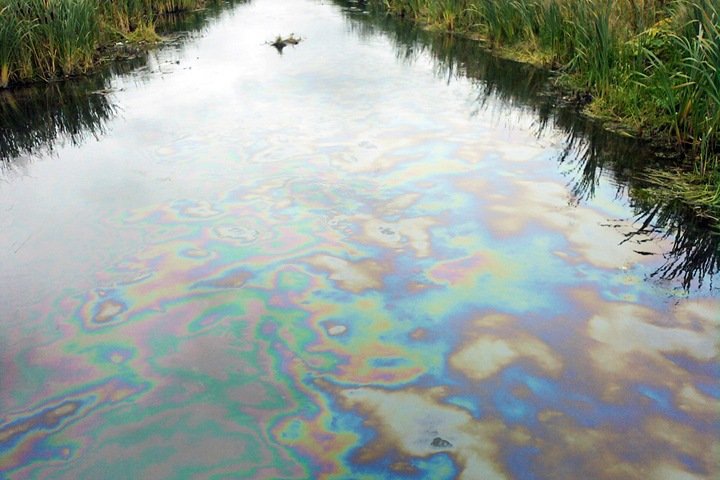 Чиновники объяснили загрязнение рек Новосибирска природой