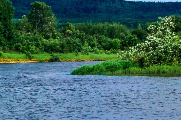 Почему важно следить за уровнем воды в реках