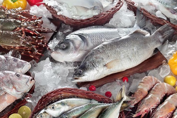 Рынок охлажденной рыбы в России