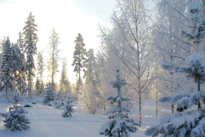 Аномальный холод ожидается в Западной Сибири