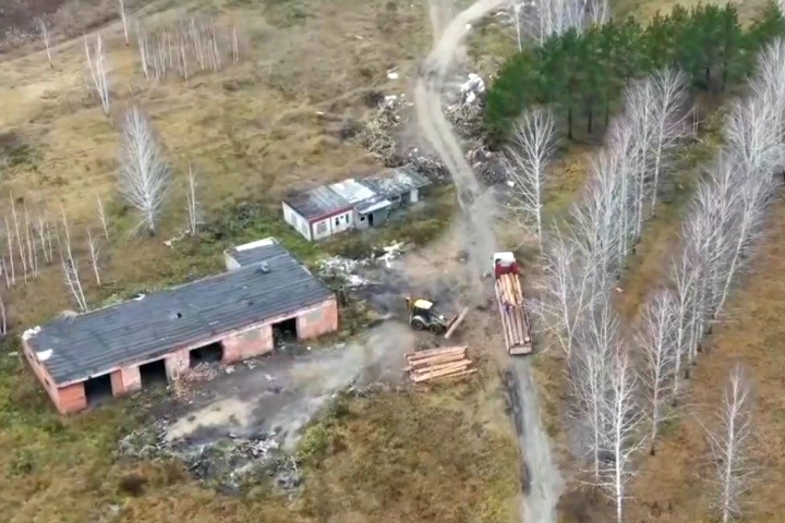 Двое новосибирцев подозреваются в рубке леса на 15 млн рублей