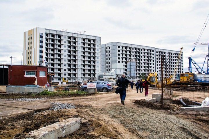 Генплан раздора. Что делать с конфликтом вокруг зеленых зон в Новосибирске