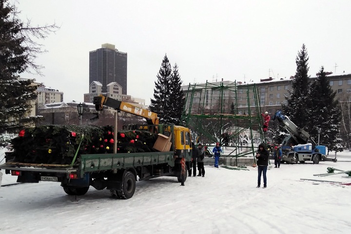 Главную городскую елку начали ставить в центре Новосибирска